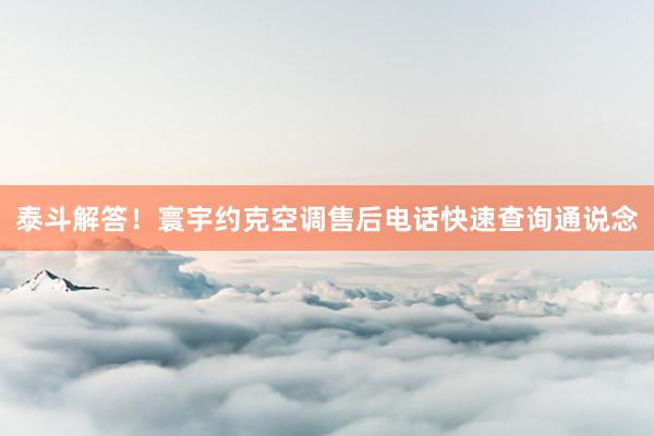 泰斗解答！寰宇约克空调售后电话快速查询通说念