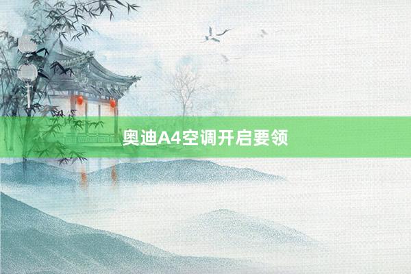 奥迪A4空调开启要领