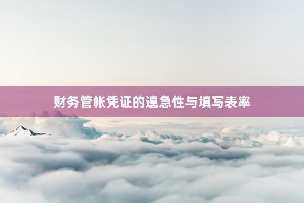 财务管帐凭证的遑急性与填写表率